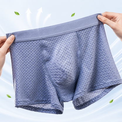 🔥BUY 2 GET 10% OFF🔥Nylon Ice Silk Breathable Men's Underwear