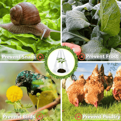 👍Mother's Day Promotion 70% OFF –2025 🌹🌿Gardening Greenhouse Plant Covers 🌱Reusable, light-transmitting and breathable💪Prevent🐛insect🐓Poultry❄Frost🌧Rain🌪Wind