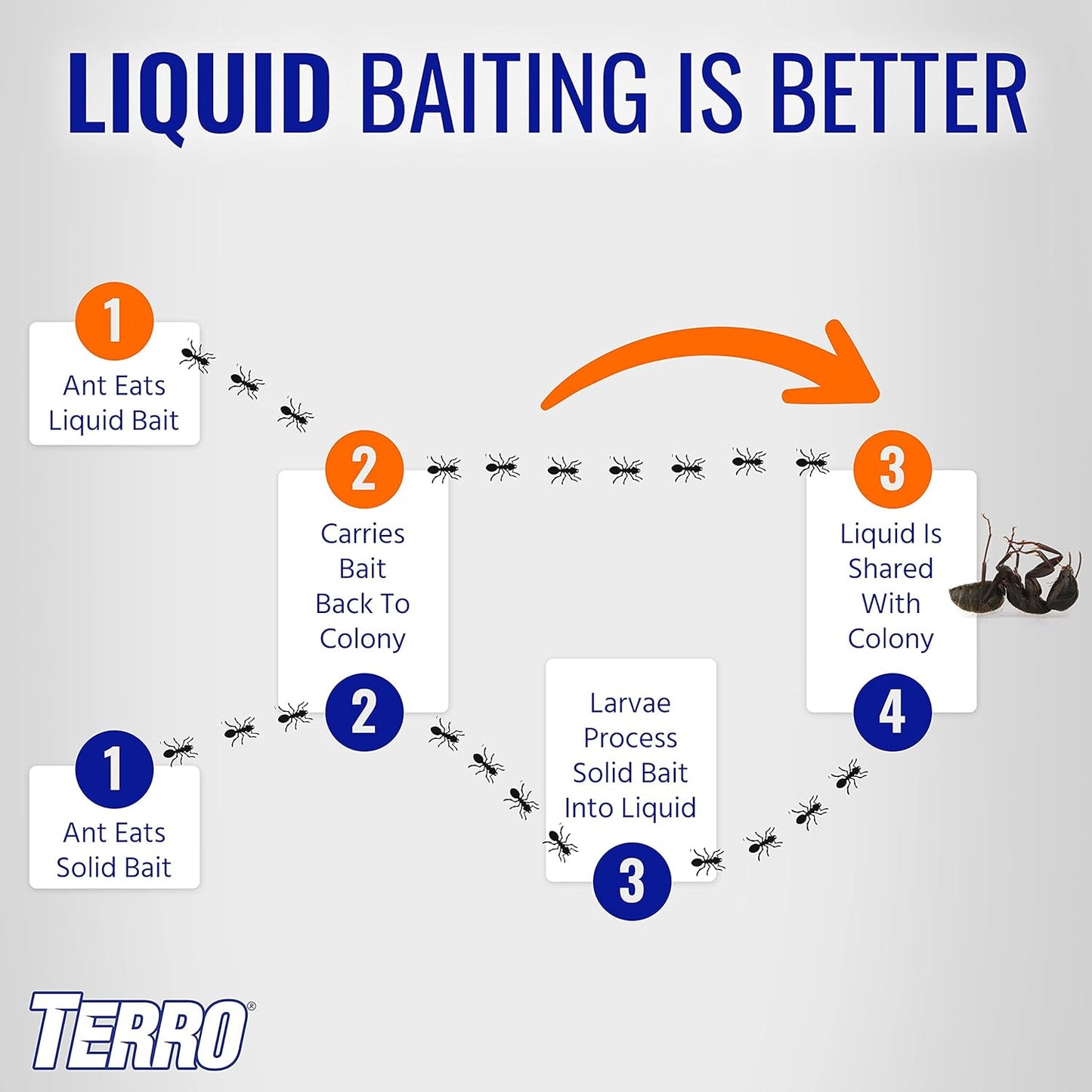 Terro Multi Surface Liquid with Adhesive Strips for Discreet Baiting, Multicolor, t334, Ant Bait