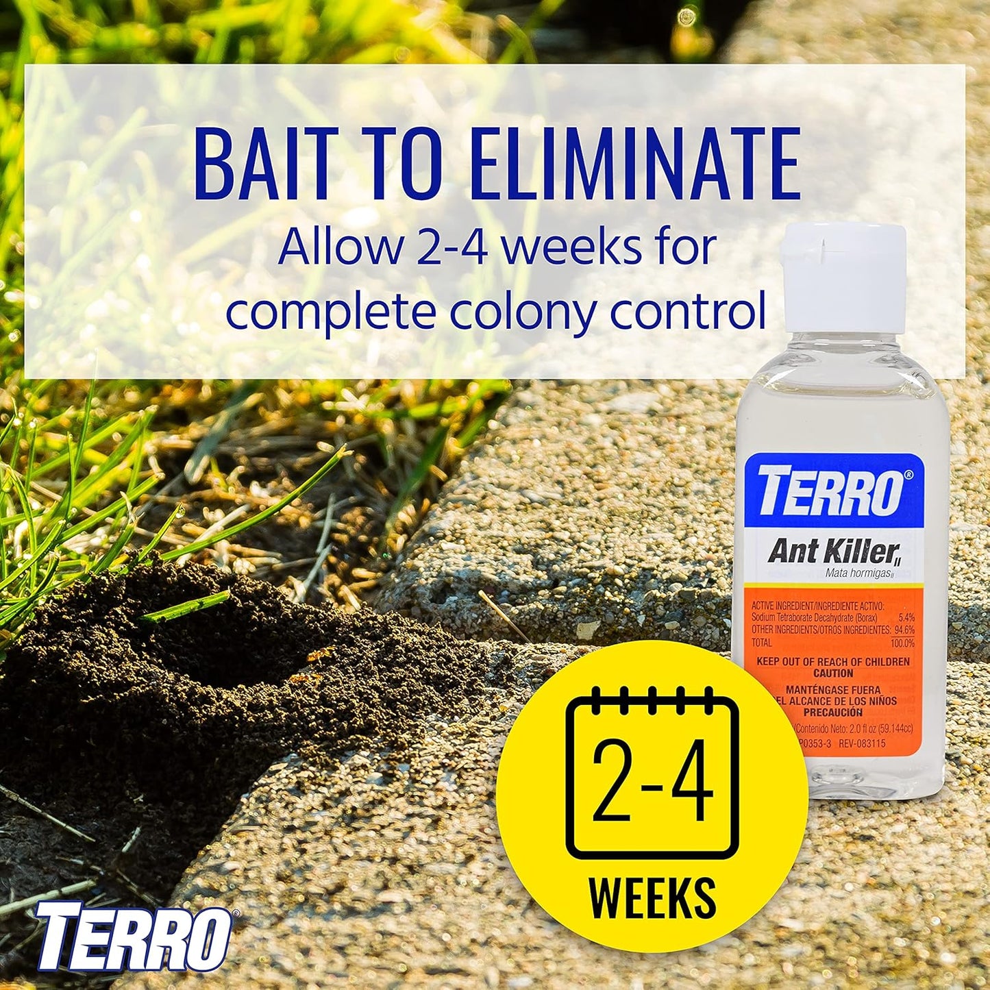 Terro Multi Surface Liquid with Adhesive Strips for Discreet Baiting, Multicolor, t334, Ant Bait
