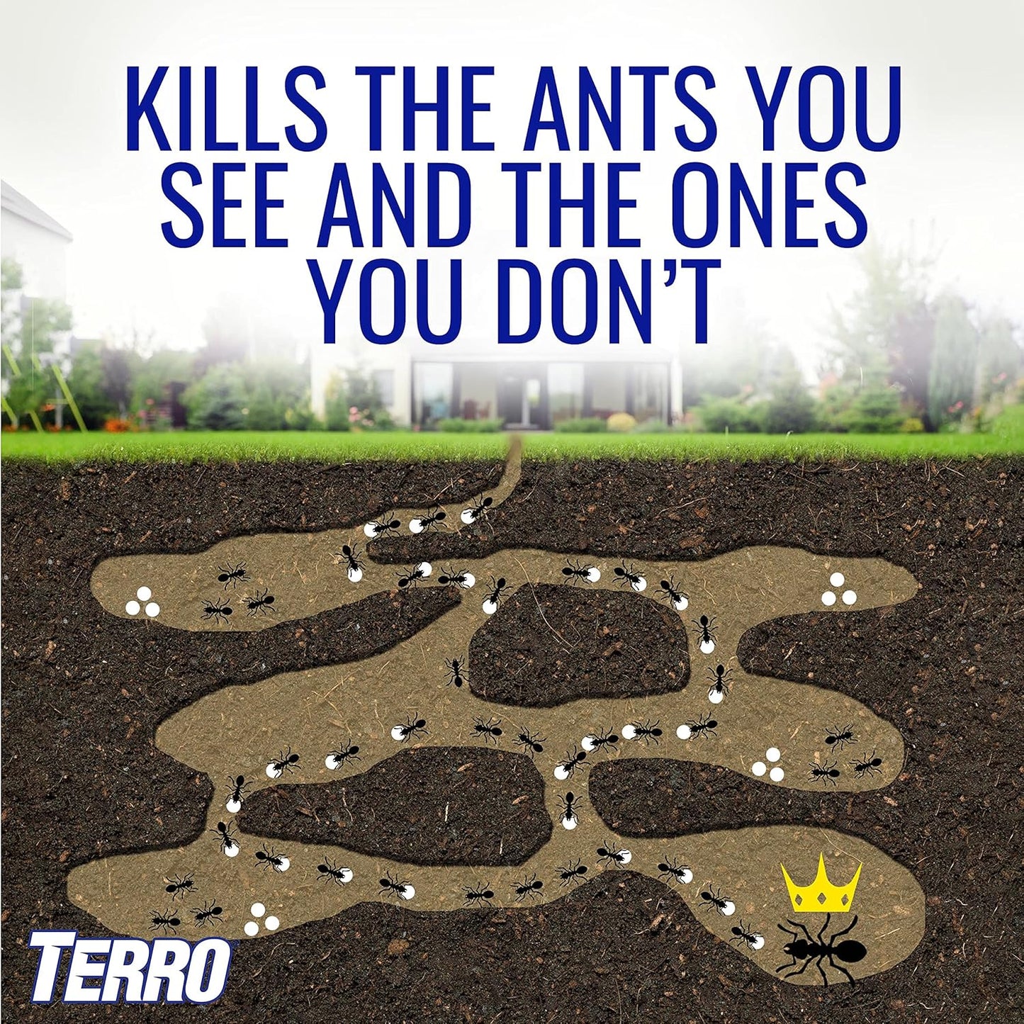 Terro Multi Surface Liquid with Adhesive Strips for Discreet Baiting, Multicolor, t334, Ant Bait