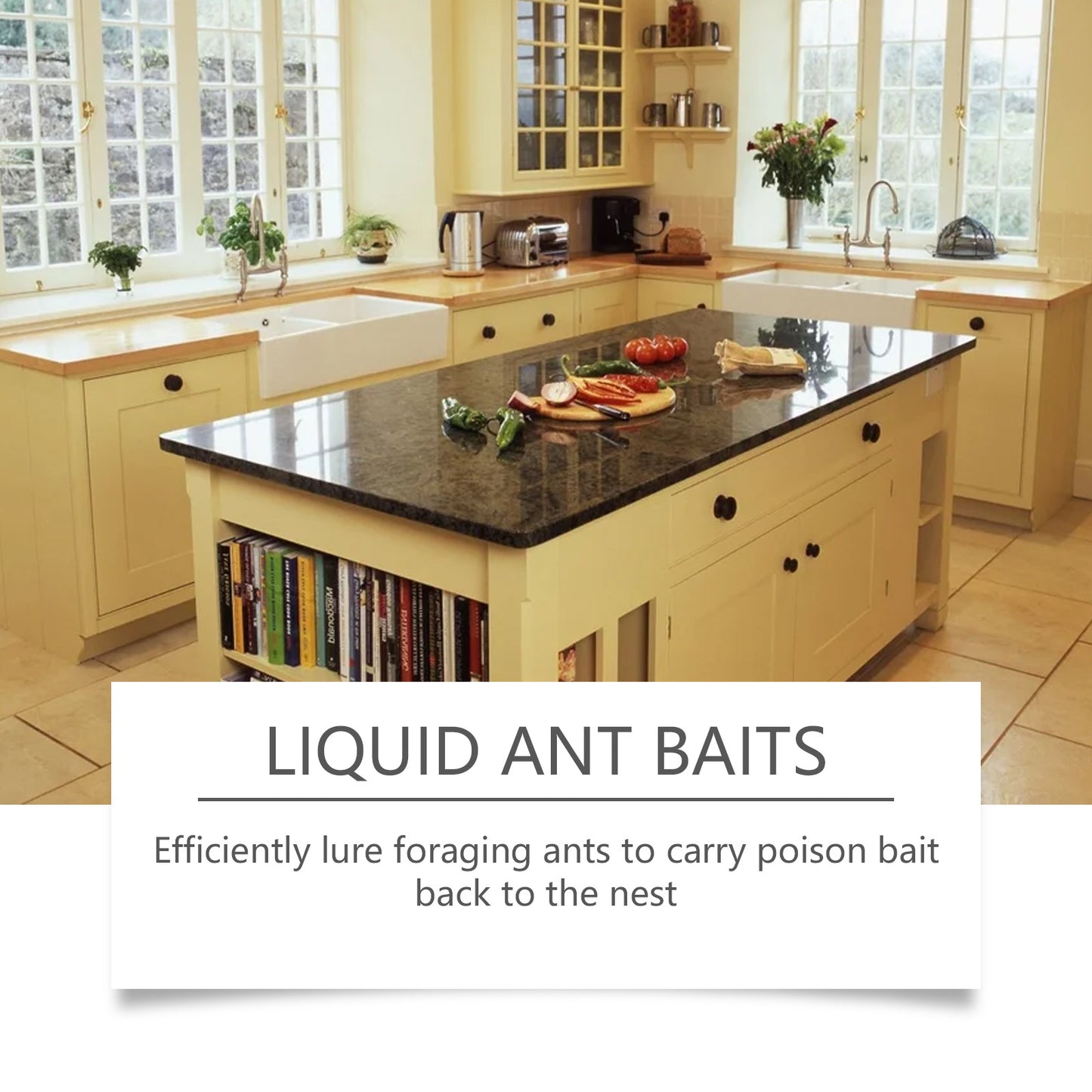 Liquid Ant Bait