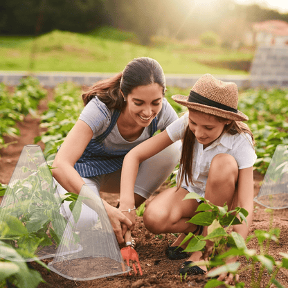 👍Mother's Day Promotion 70% OFF –2025 🌹🌿Gardening Greenhouse Plant Covers 🌱Reusable, light-transmitting and breathable💪Prevent🐛insect🐓Poultry❄Frost🌧Rain🌪Wind